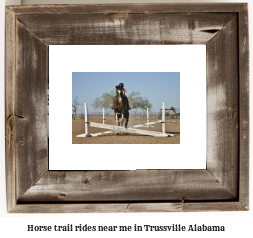 horse trail rides near me in Trussville, Alabama